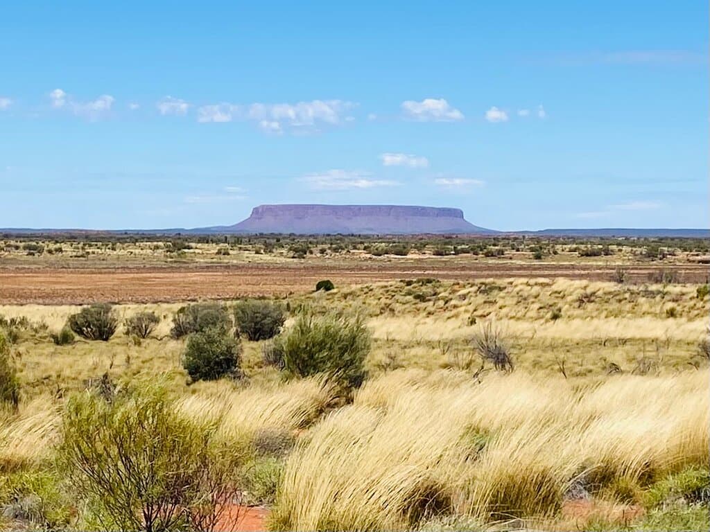Curtin Springs Station