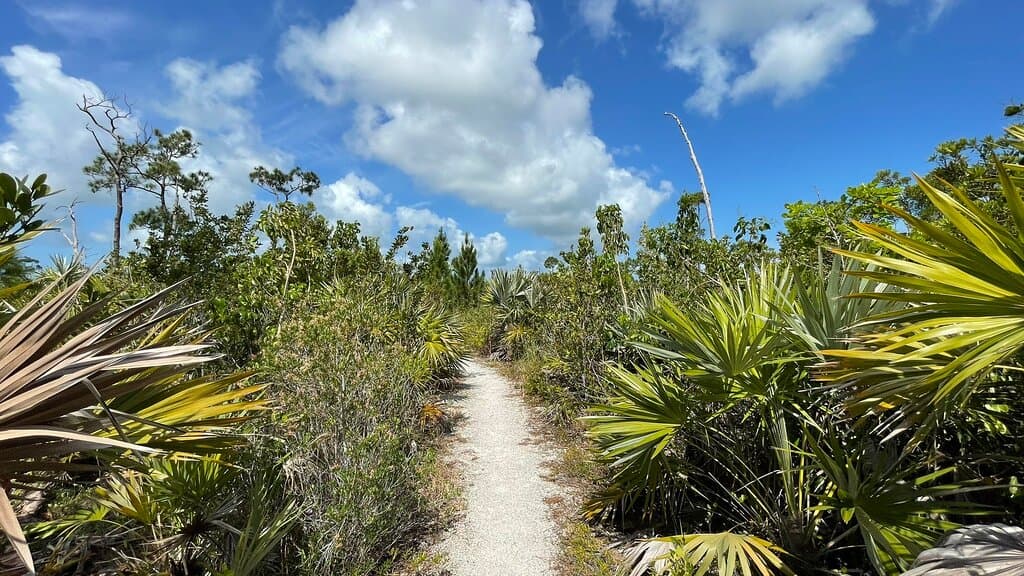 Jack C. Watson Nature Trail
