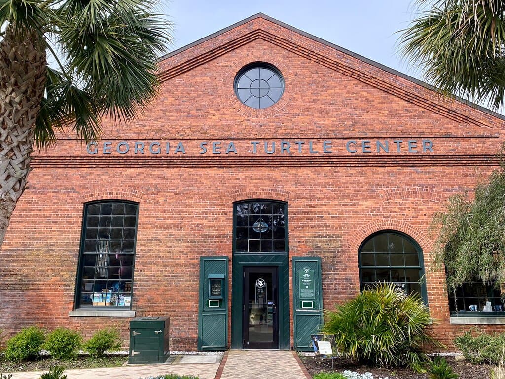 Georgia Sea Turtle Center