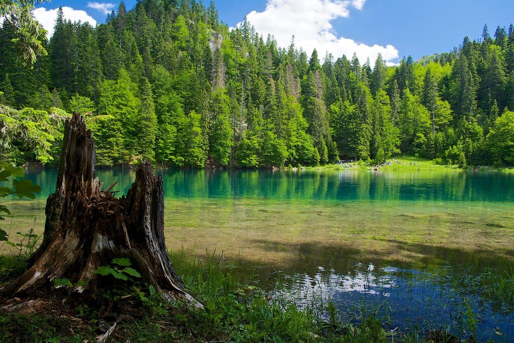 Zabojsko Lake, nestled in the heart of Durmitor National Park in Montenegro, enchants visitors with its tranquil waters and stunning mountain backdrop. Surrounded by lush forests and majestic peaks, this pristine alpine lake offers a peaceful retreat for nature lovers and hikers alike.