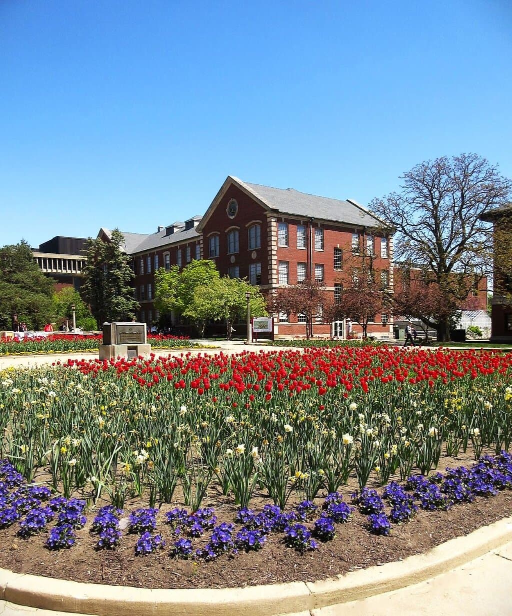 Blooming spring at ISU. May 2023