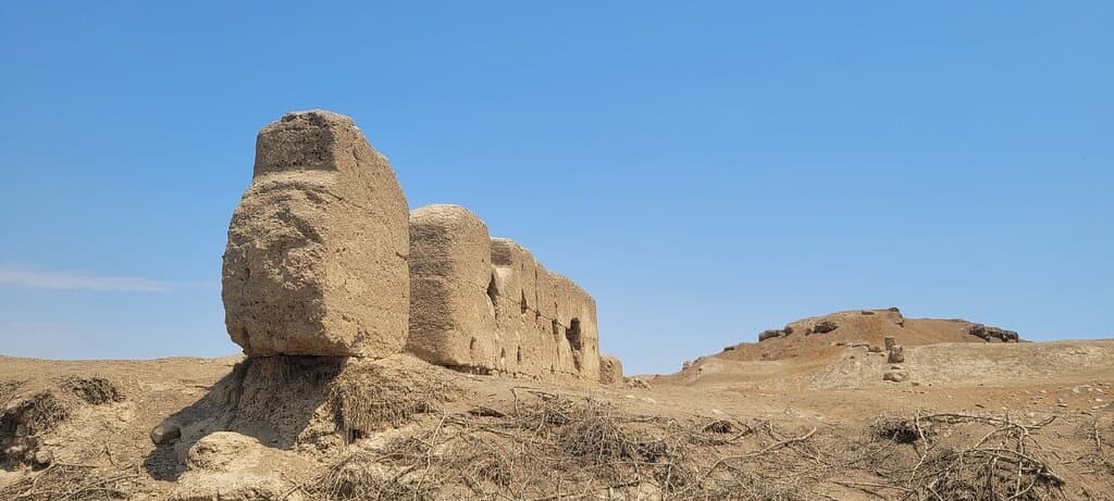 La Centinela Chincha