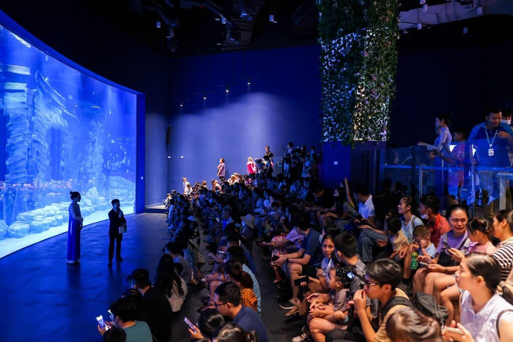 Explore the Lotte Aquarium