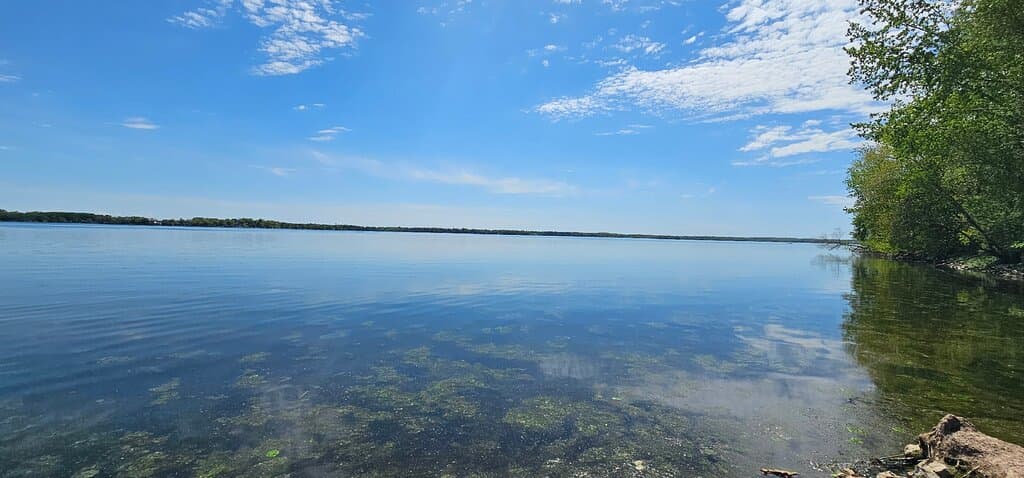 Bird watching, lake view