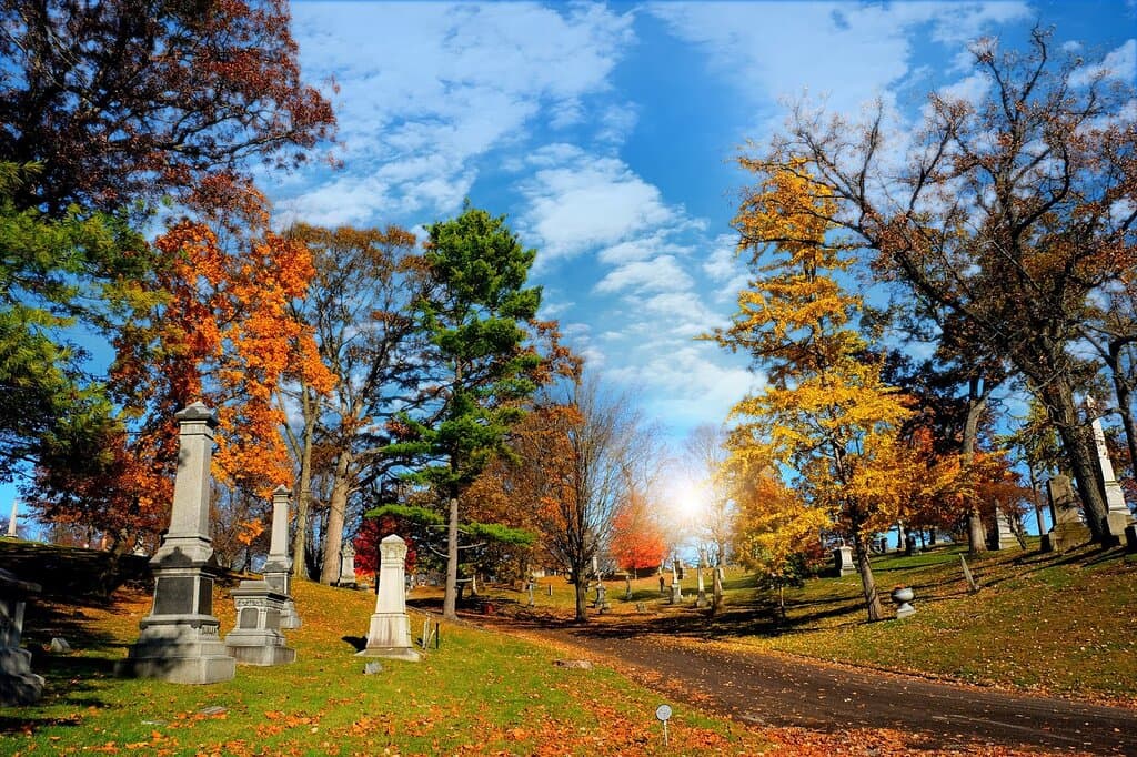 A beautiful day for a walk.