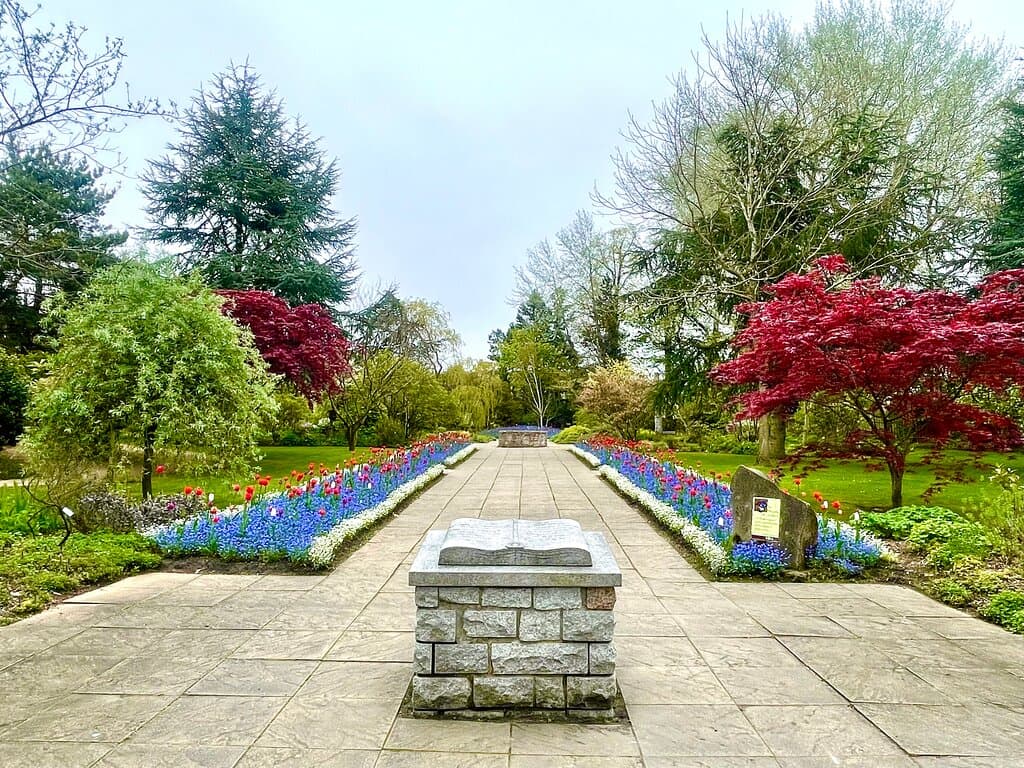 Beautiful blooming borders. 