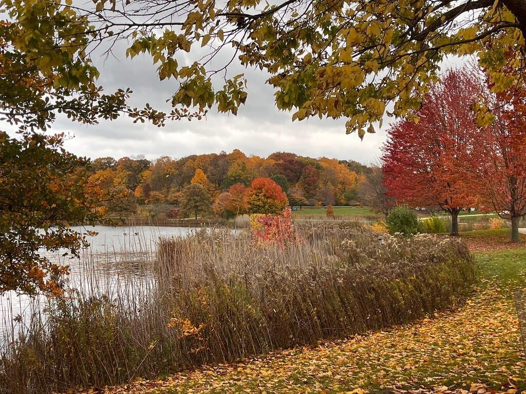 Beauty in every season