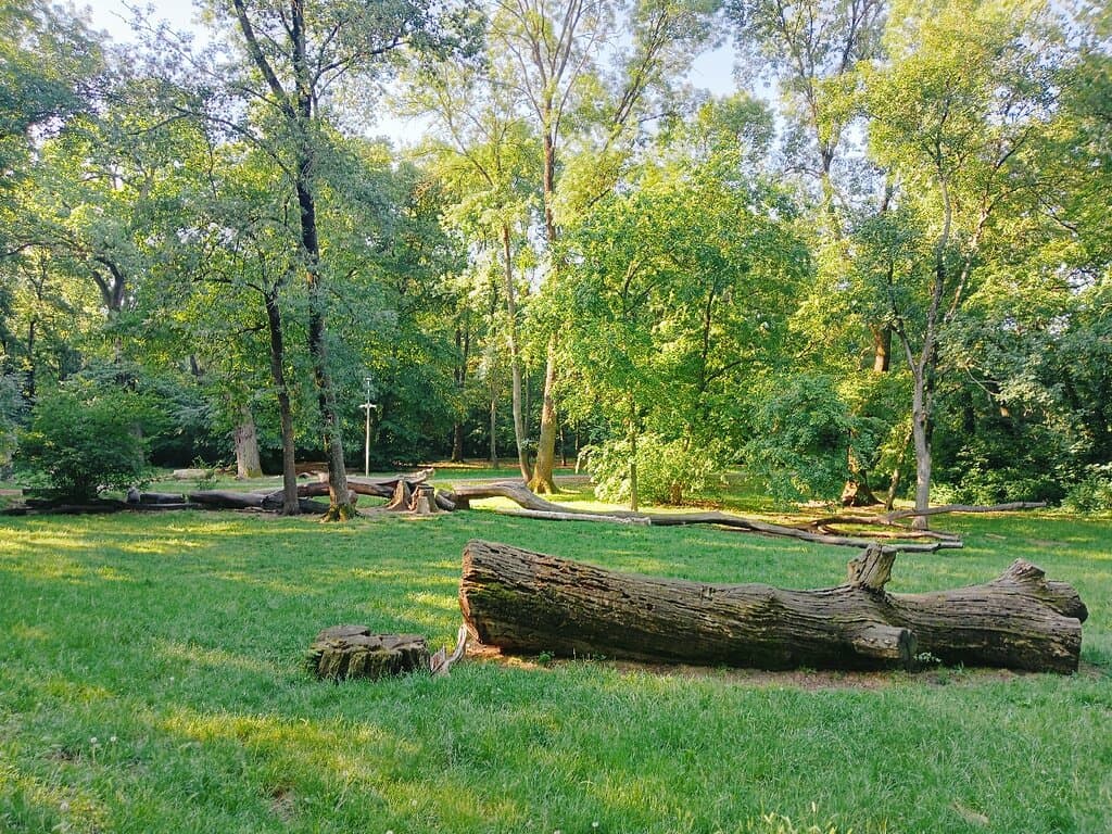 Erzsébet Liget Újszeged