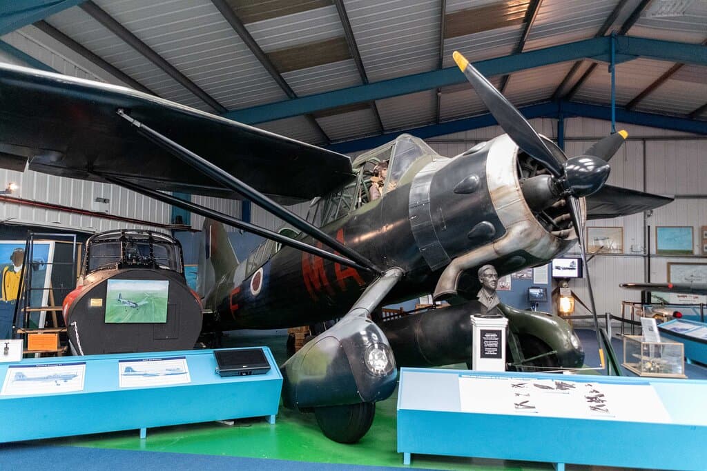 Lysander 