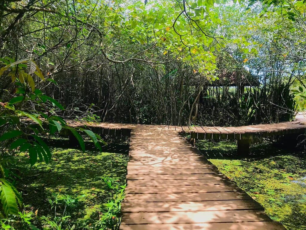 Baiteng Lake Wetland Park