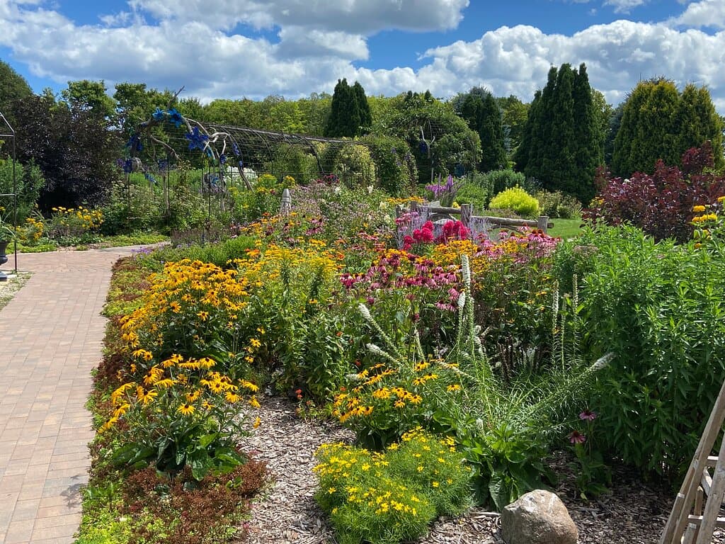 One of the many gardens in mid July. (photo taken July 2023)