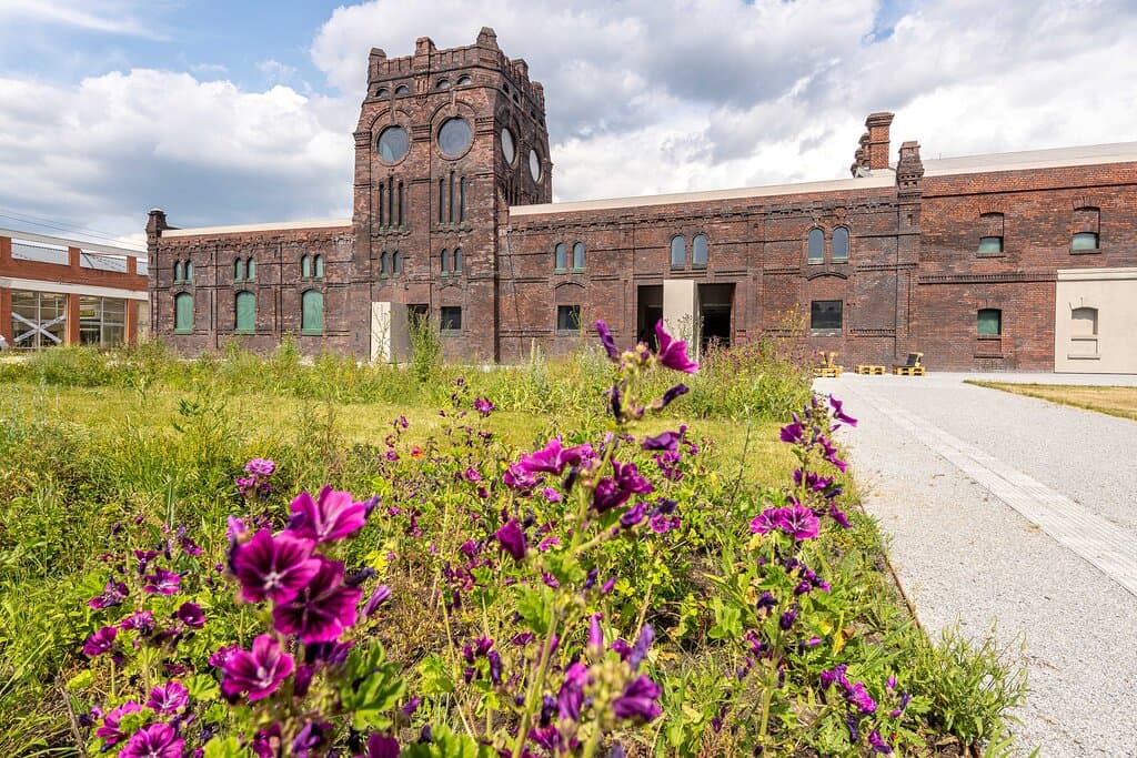 PLATO gallery and its permaculture garden