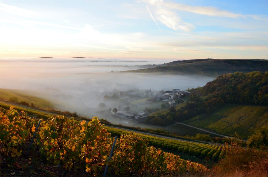 Chavignol
Copyright: Jean-Philippe Ehrmann