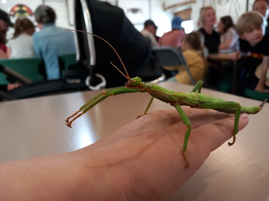 Dr Beynon's Bug Farm