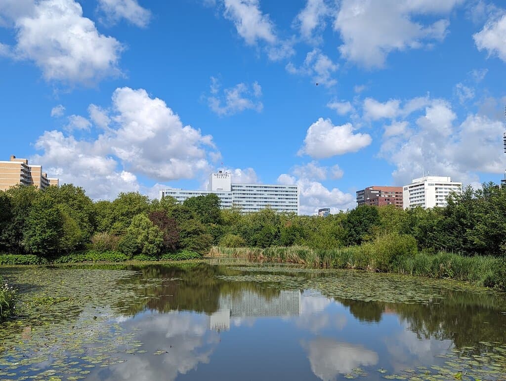 Have a Picnic in Amstelpark