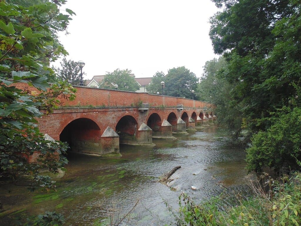 Town Bridge Leatherhea