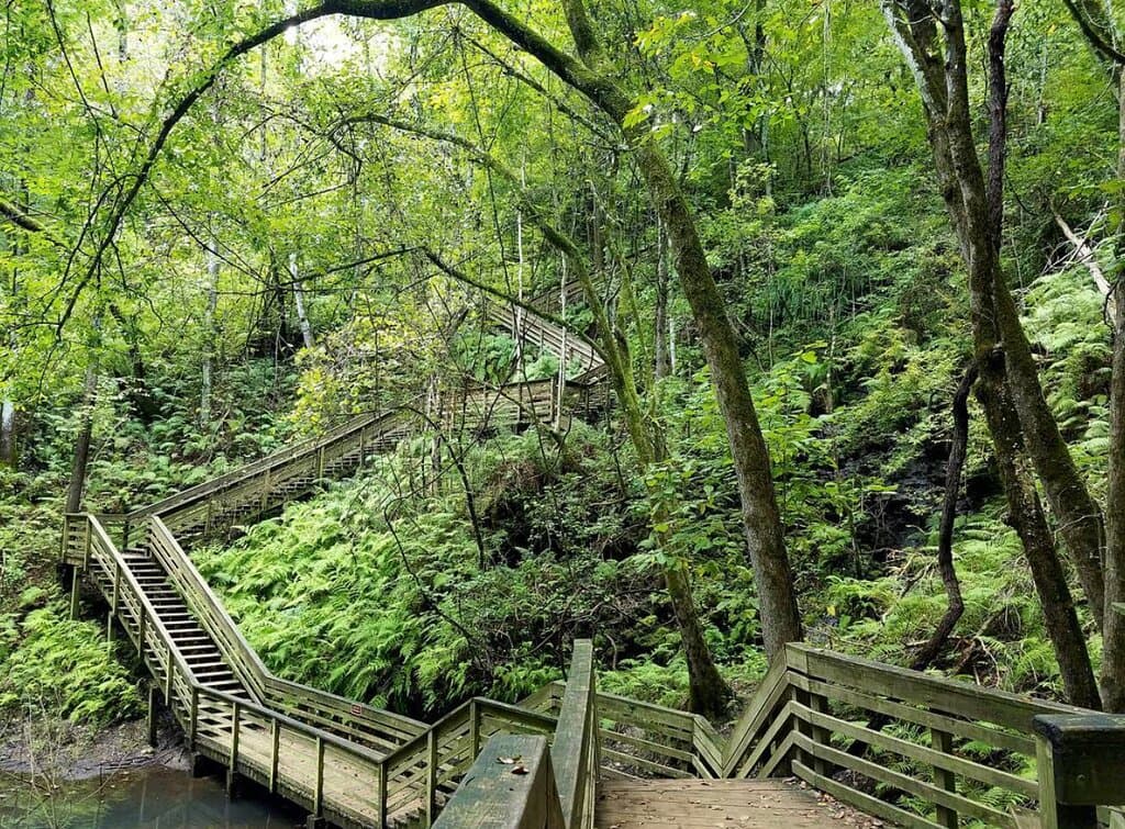 Devil's Millhopper Geological State Park