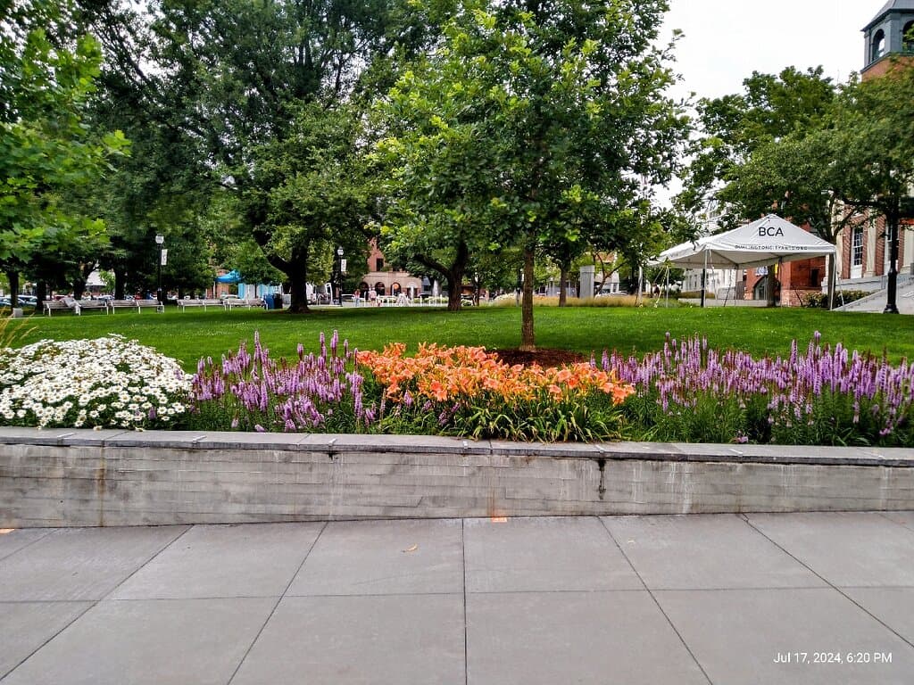 City hall park