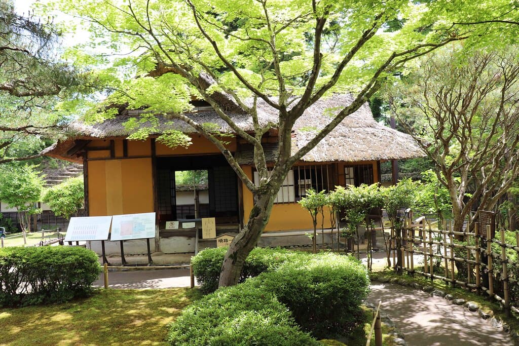 庭園を眺めながらお茶を楽しむことができるんです