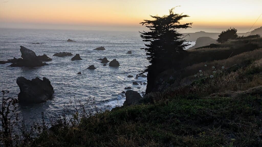 Bodega Head at sunset.