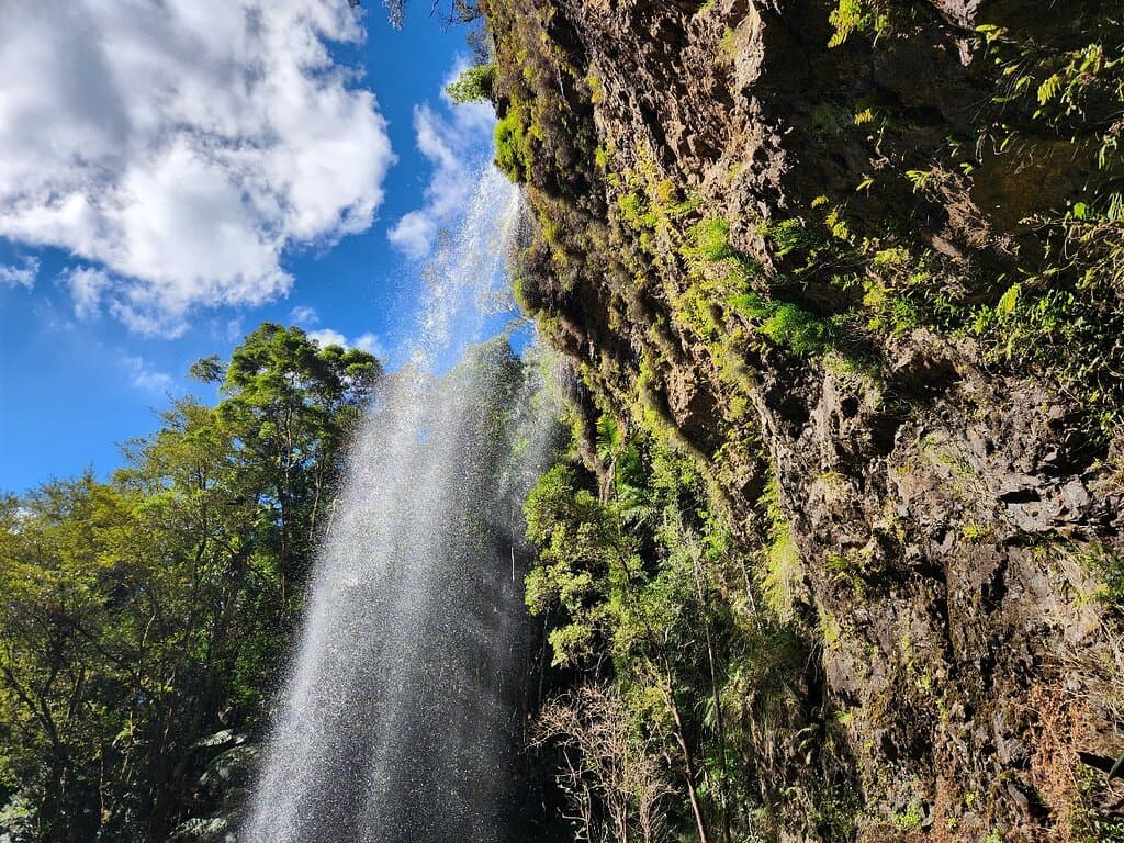 Twin Falls Springbrook