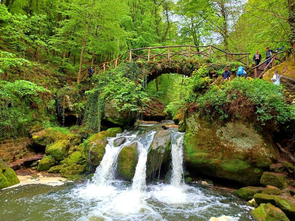 The falls