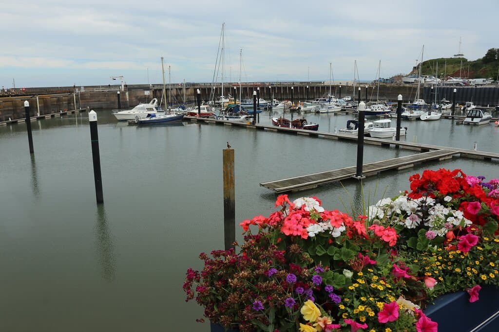 6.  Watchet Harbour, Watchet, Somerset (July 2024)