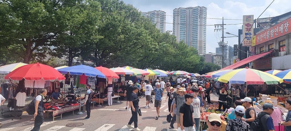 Explore the Dongmyo Area