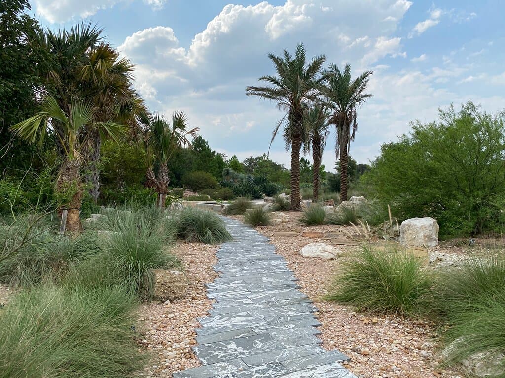 A lot of focus on arid plants