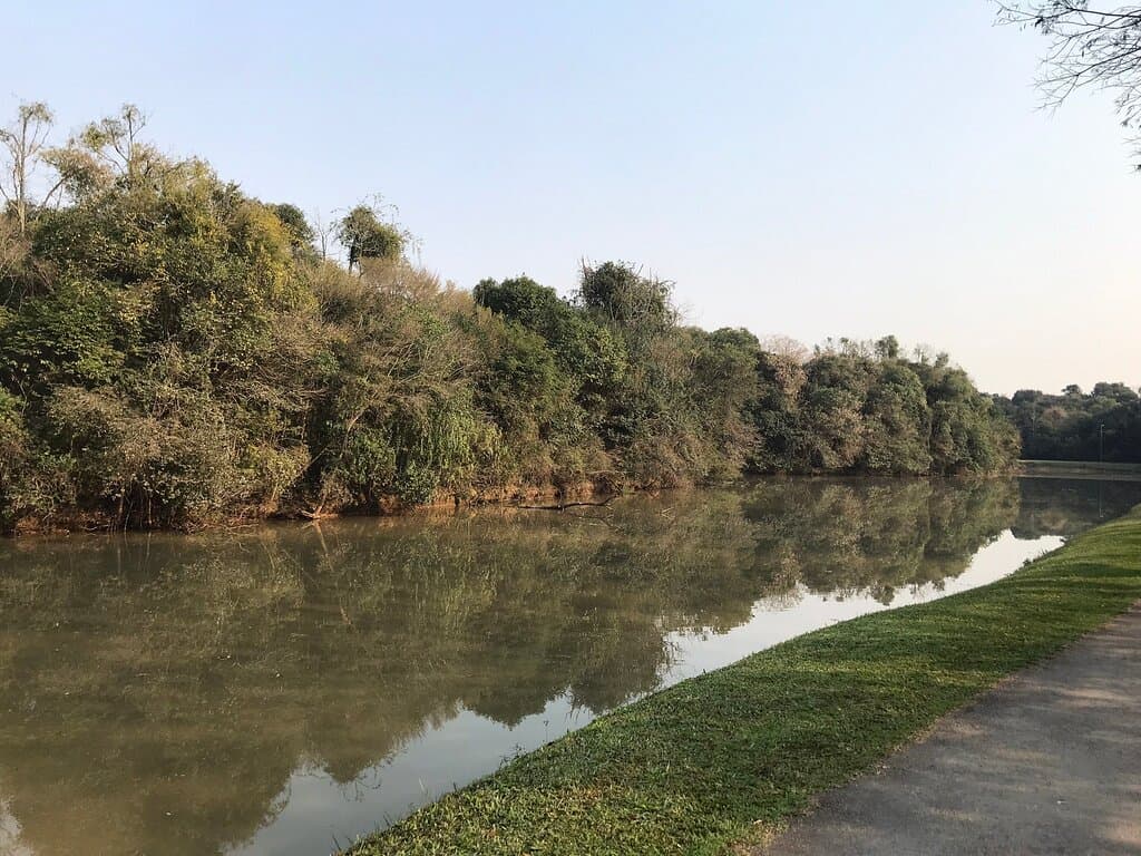 Parque do Atuba - Curitiba 18/08/2024 - Domingo de Sol Parque estabelecido em 2004 para preservação ambiental do fundo do vale e do Rio Atuba. Revitalizado em 2020.  Local agradável 🤩 com pistas de caminhada🏃‍♀️ e bicicleta 🚴‍♀️. Possui uma infraestrutura de lazer bem montada com quadras e churrasqueiras.  Possui estacionamento e Posto da Guarda Municipal.  Como ponto a melhorar, apesar de ter bastante lixeiras espalhadas pelo parque (estavam sendo utilizadas!!) ainda encontrei lixo pelas trilhas 🙁