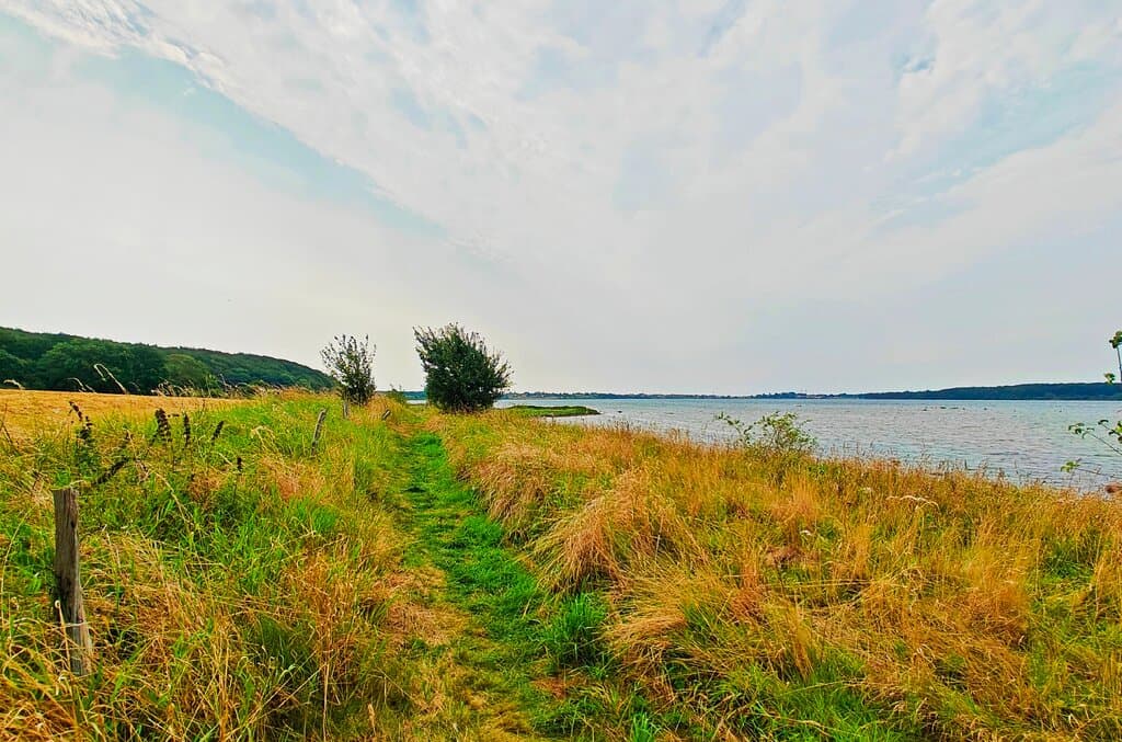Skælskør Nor Nature Area