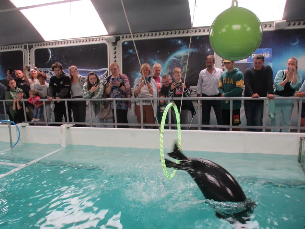 прыжок через бруч