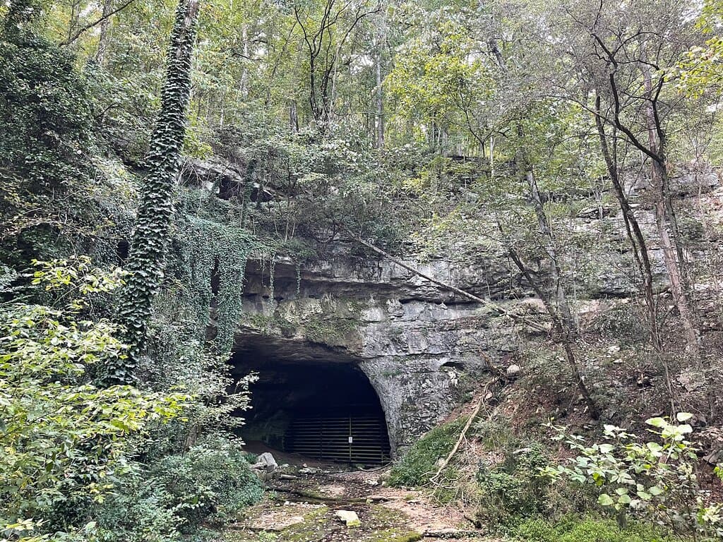 Sauta Cave National Wildlife Refuge Bat Viewing
