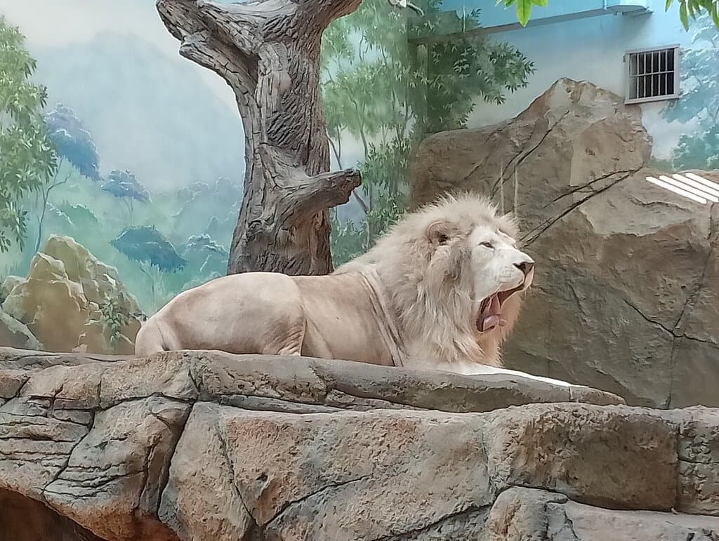 Kazan Zoological and Botanical Garden