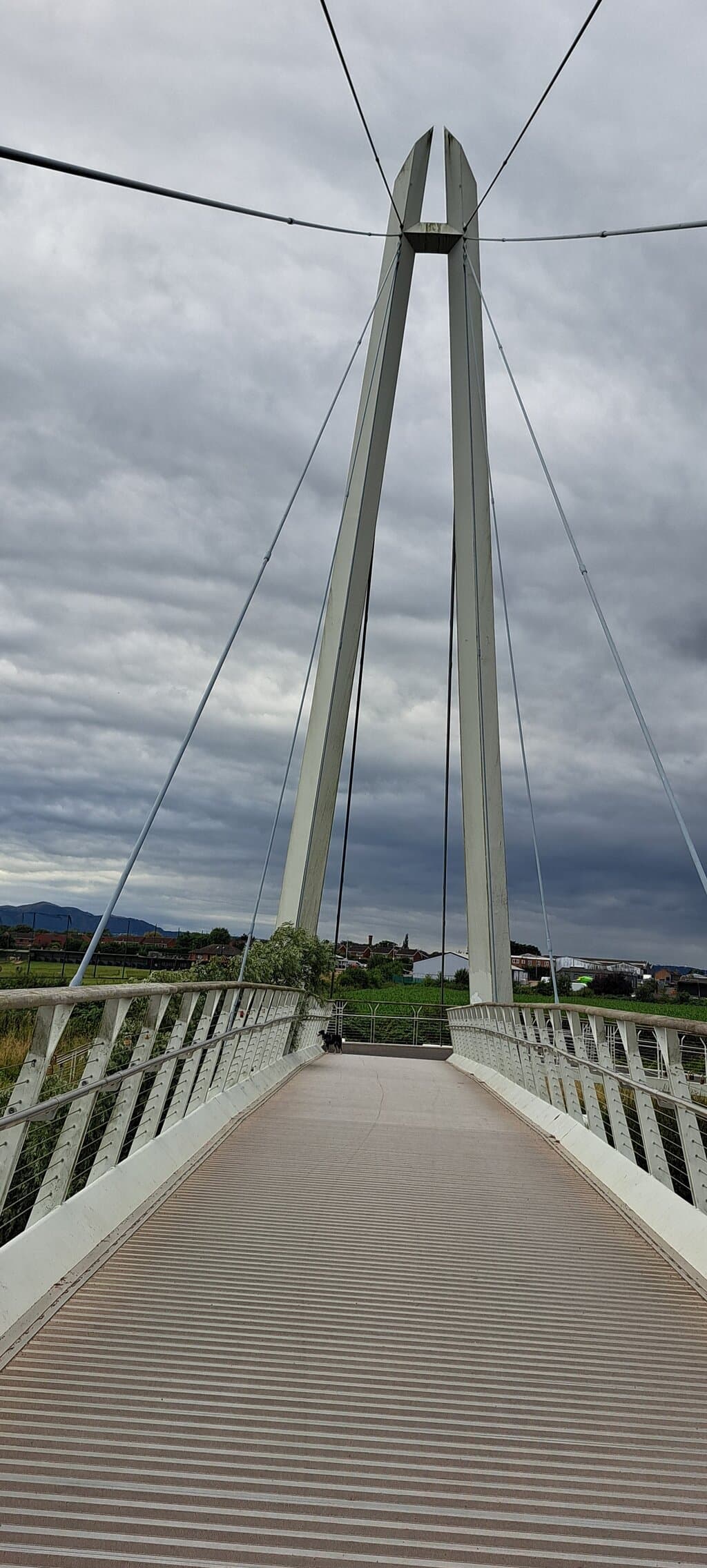 Diglis Bridge pylon support 