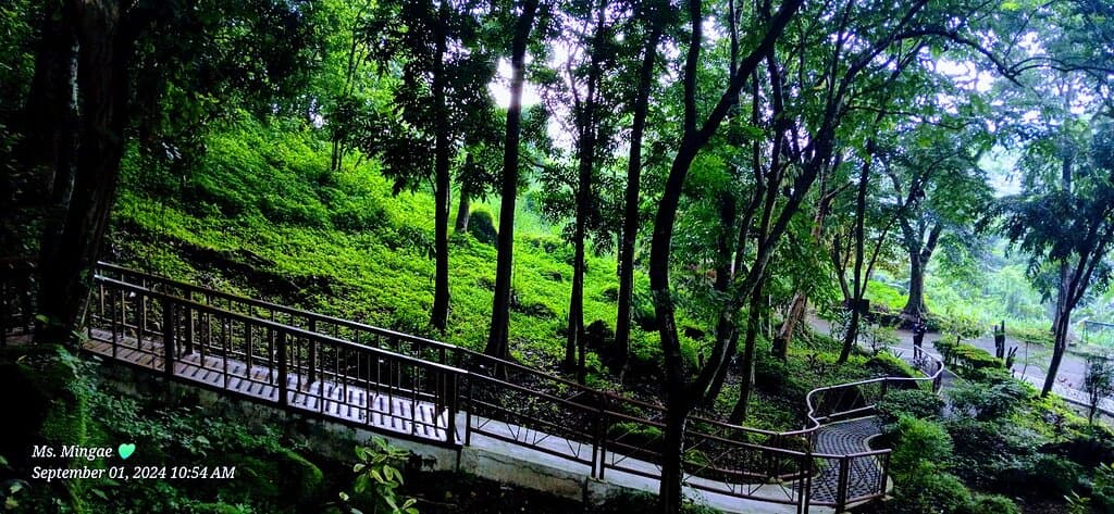 The Angono-Binangonan Petroglyph Site