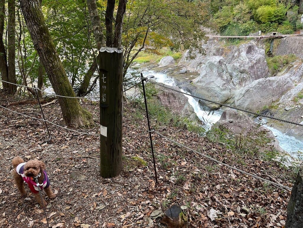 🐩🚶　天皇の間・七ツ岩コース（ビジターセンターエリア）