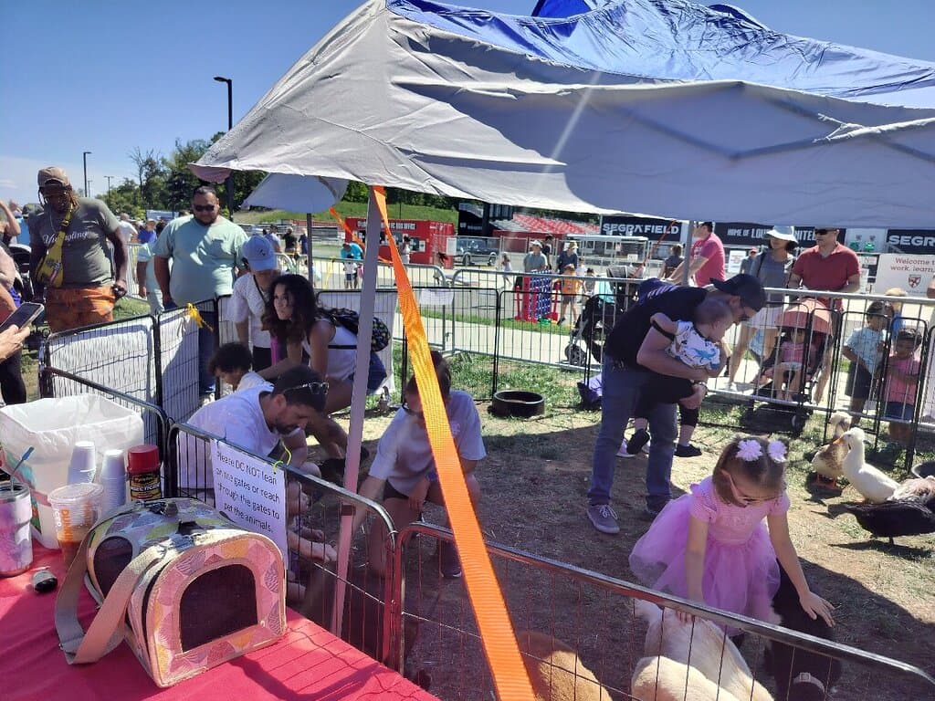 Fantastic FREE Kids Festival for Labor Day