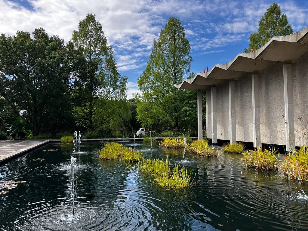 National Bonsai & Penjing Museum
