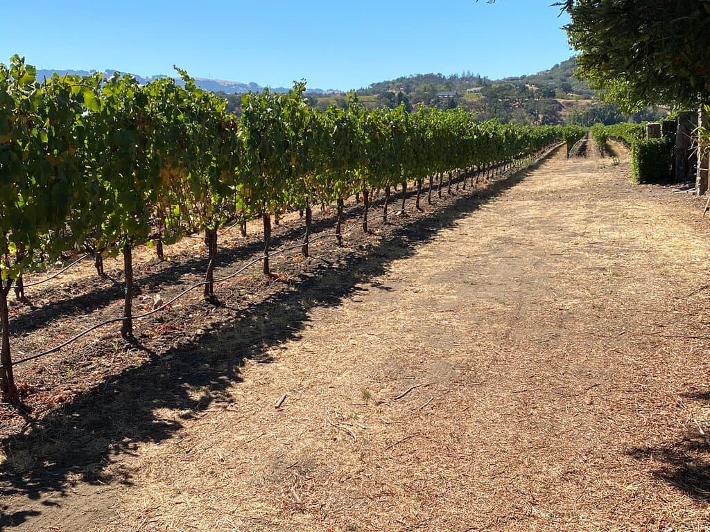 St. Anne's Crossing Winery