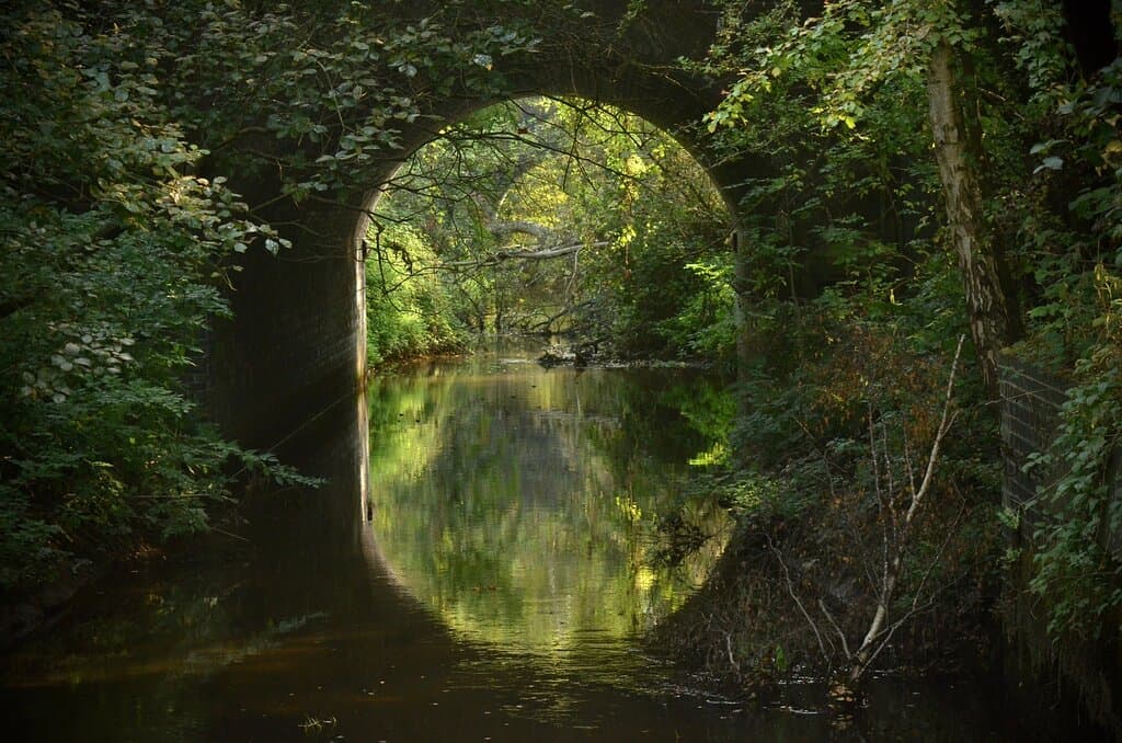 Potteric Carr Nature Reserve Doncaster