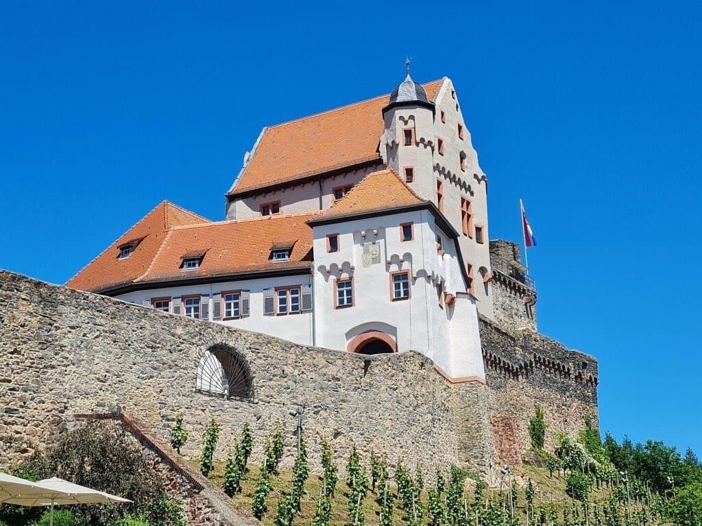 Burg Alzenau im Sommer
