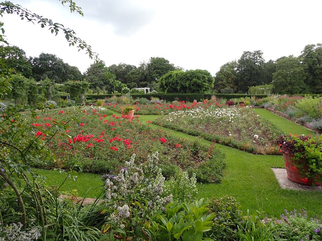 Darmstadt, Park Rosenhöhe: rosarium