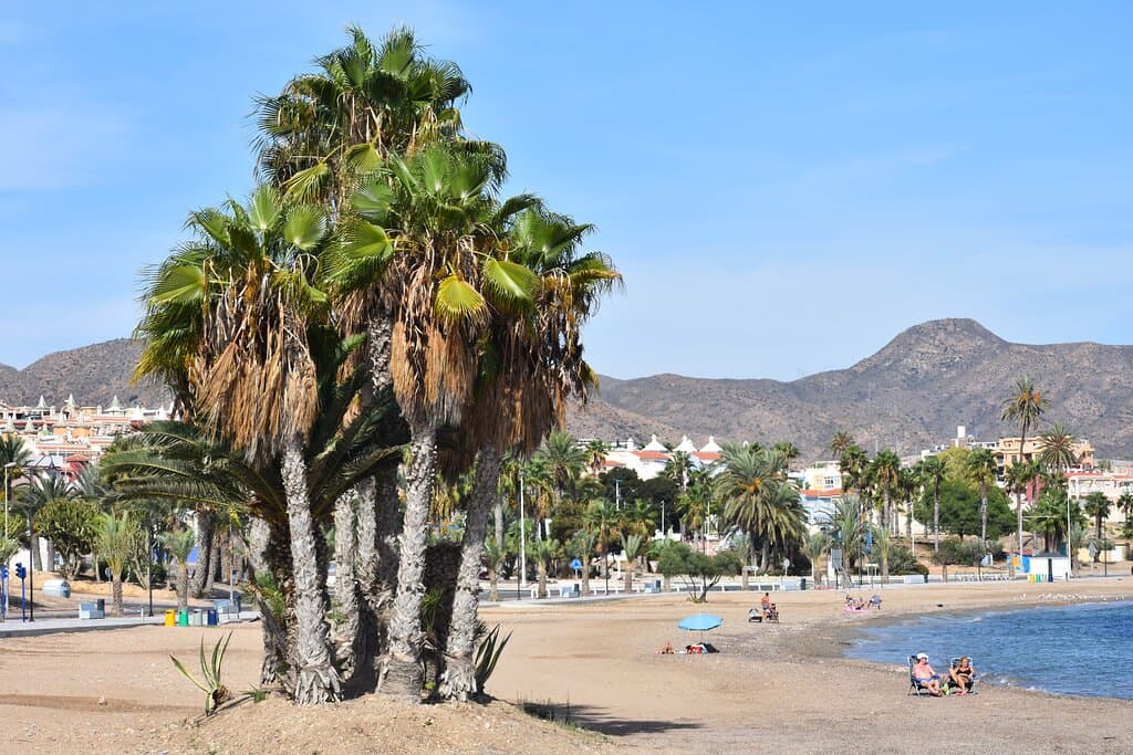 Playa del Alamillo is a nice long beach