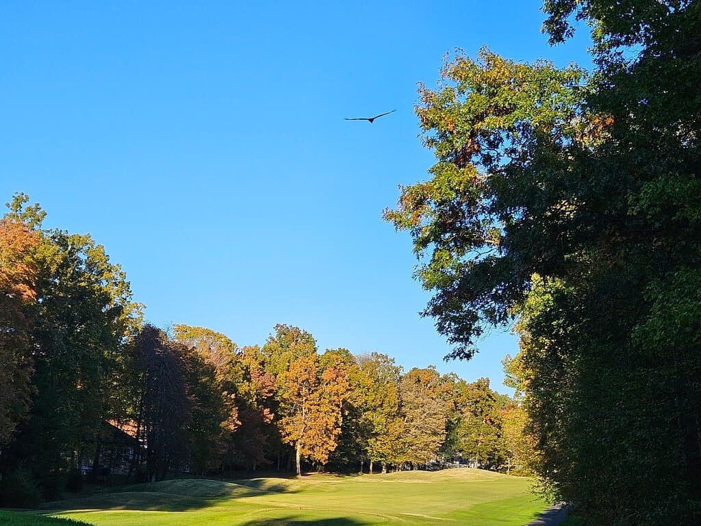 Heatherhurst Golf Club