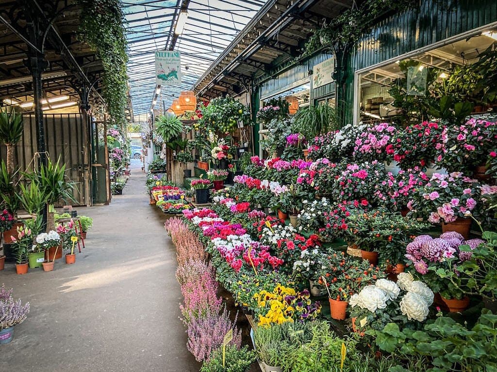 Explore the Marché aux Fleurs Reine Elizabeth II