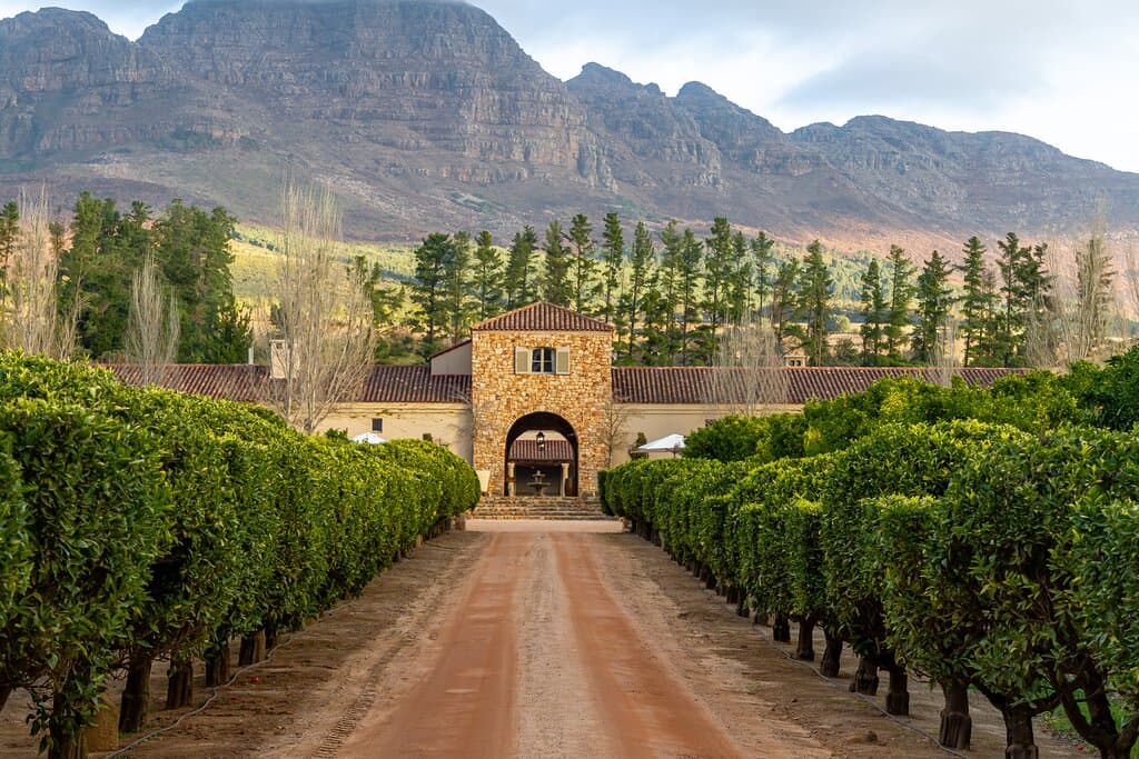 Set on a landscape sculpted by nature over 600 million years, Waterford Estate benefits from this ancient terroir. Our journey is dedicated to capturing the unique character of the Helderberg Mountain in every bottle, producing wines that reflect the rich soils, diverse cultures, and vibrant ecosystems of South Africa.