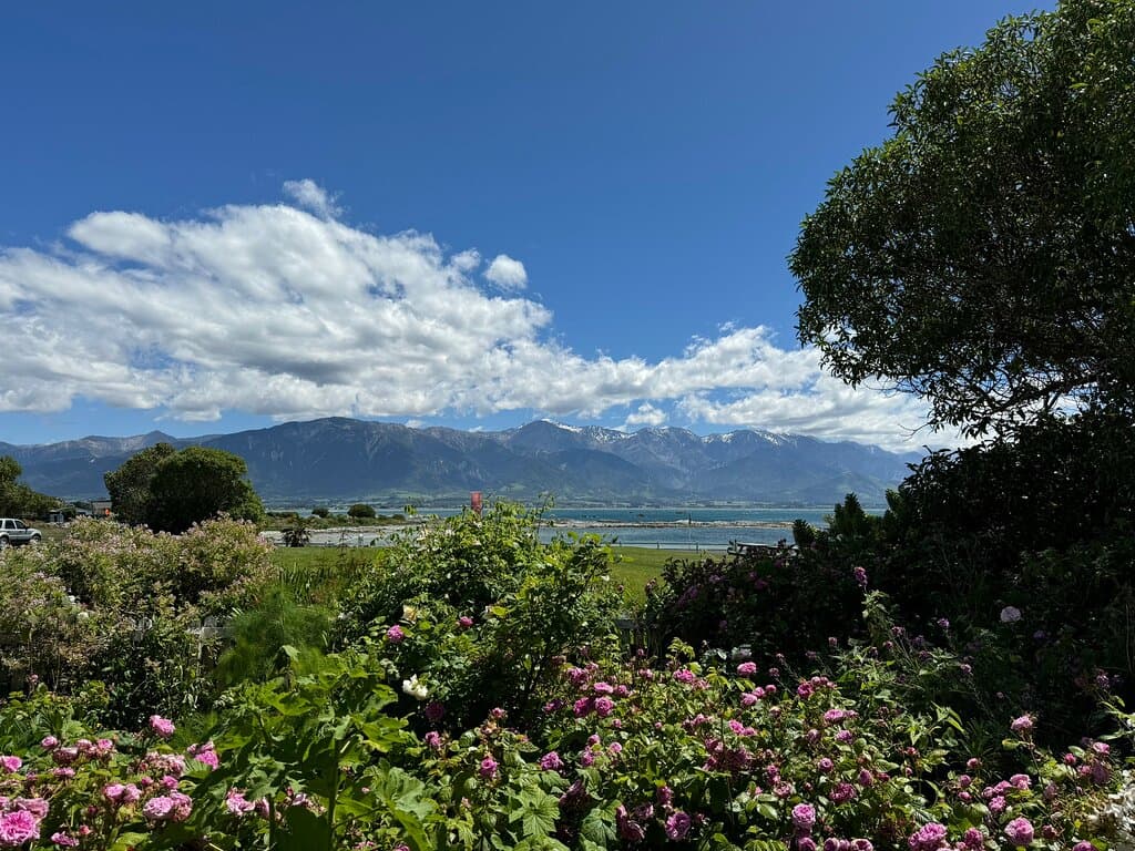 Fyffe House Kaikoura