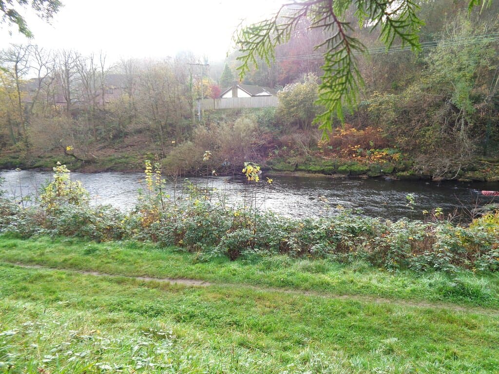 The River Taf behind the well house