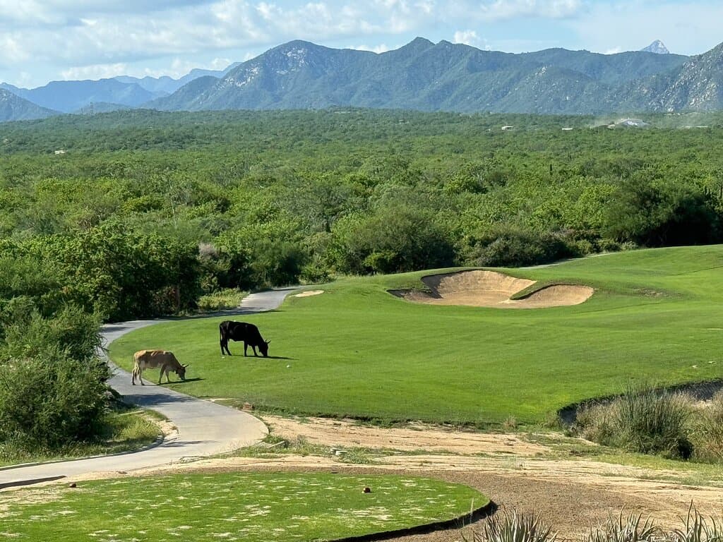 Club Campestre San José Golf